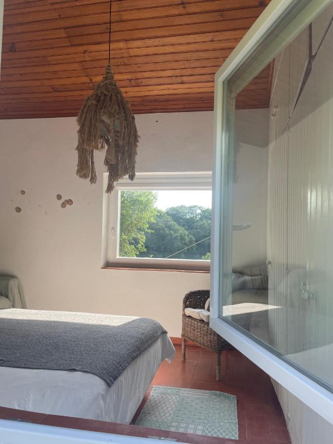 A House In The Woods Villa Sintra Bagian luar foto