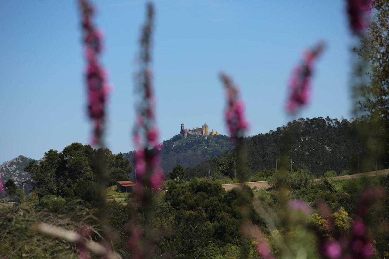 A House In The Woods Villa Sintra Bagian luar foto