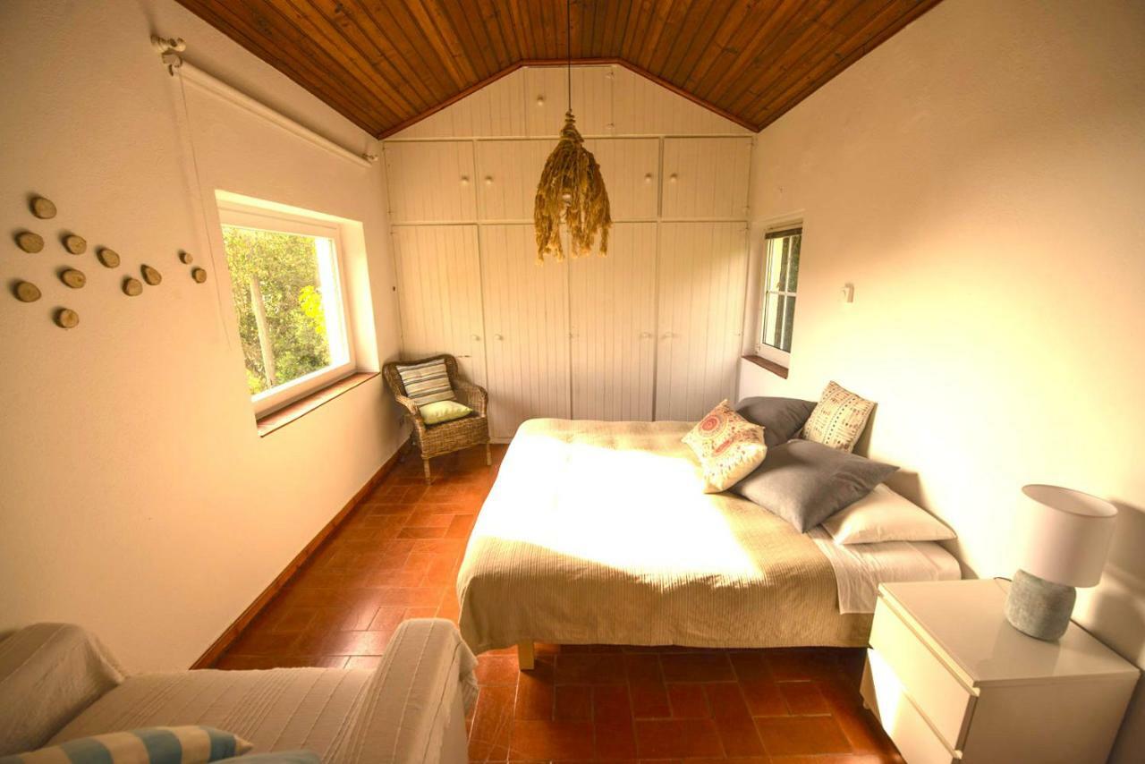 A House In The Woods Villa Sintra Bagian luar foto