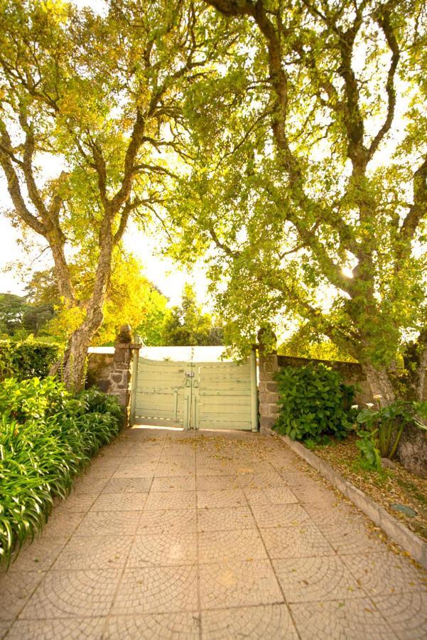 A House In The Woods Villa Sintra Bagian luar foto