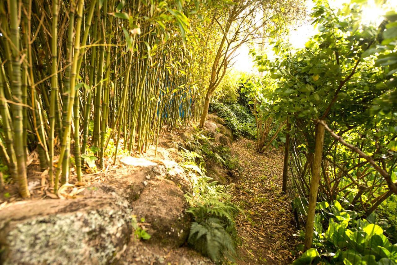 A House In The Woods Villa Sintra Bagian luar foto